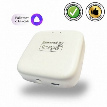 WIFI  Converter  SMART   Denkirs   DK7400-WF-1