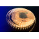 Лента светодиодная LUX DSG560, SMD 5050, 60 LED/м, 14,4 Вт/м, 12В, IP33, Теплый белый (2700K)