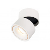 Светильник потолочный LED 1*12W 4000K IP20 D100xH105  ST652.542.12