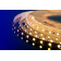 Лента светодиодная LUX DSG560, SMD 5050, 60 LED/м, 14,4 Вт/м, 24В, IP33, Теплый белый (3000K)