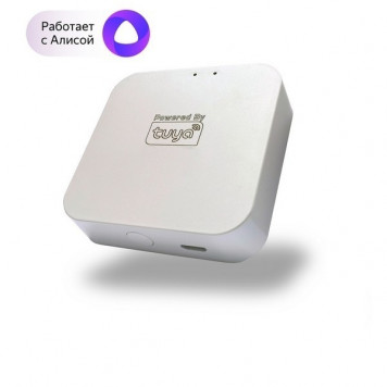 WIFI  Converter  SMART   Denkirs   DK7400-WF