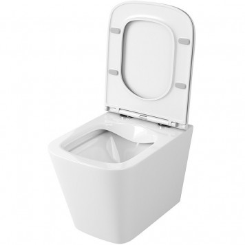 Унитаз Owl 1975 Vatter OWLT190403S подвесной с сиденьем Микролифт-4