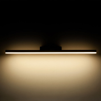 Светильник для картин Elektrostandard Protect LED чёрный (MRL LED 1111)-1