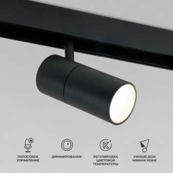 Светильник на шине Elektrostandard 85075/01 12W 2700-6500K Dim R02 (чёрный)   a063538