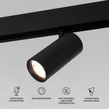 Светильник на шине Elektrostandard 85074/01 6W 2700-6500K Dim R01 (чёрный)  a063537