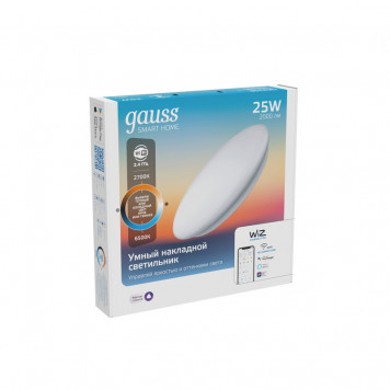 Накладной светильник Gauss 2050112-2